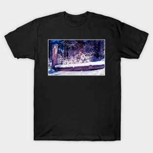 Clash of Seasons T-Shirt